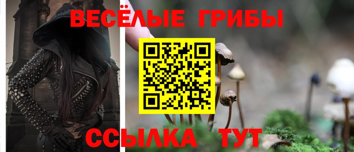 Псилоцибиновые грибы GOLDEN TEACHER Ирбит
